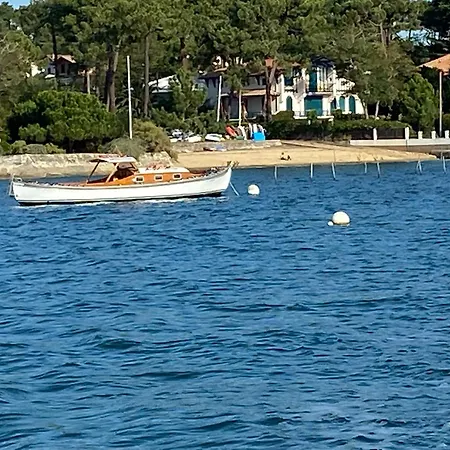 La Seurinade Bassin D'arcachon La Teste-de-Buch